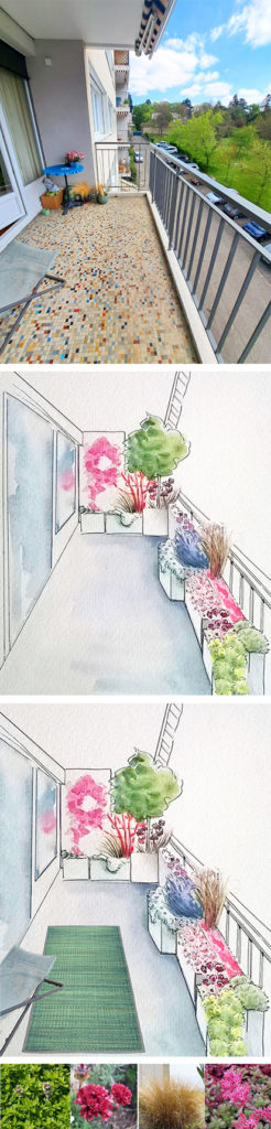 rafraichir un balcon plein sud avec plein de belles plantes