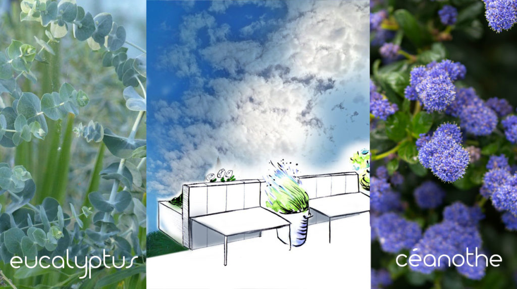 plan de jardin avec deux bancs, ambiance bleue