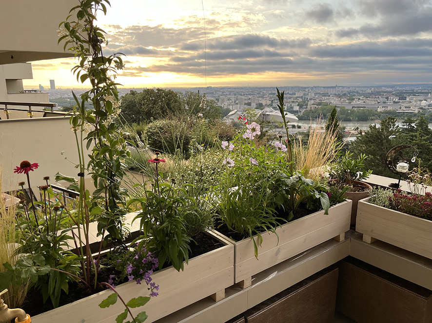 terrasse Grand Lyon