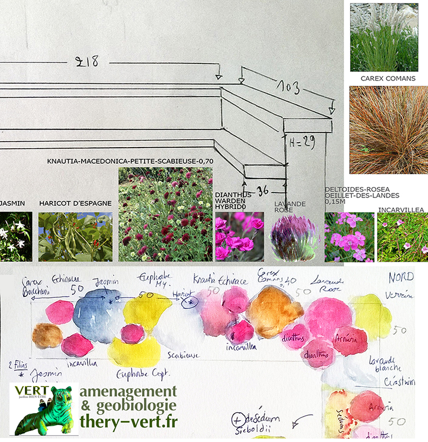 Lyon-terrasse-nord-jeux-de-vegetation-mediterranee-