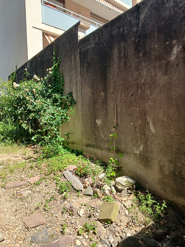 le mur sale avant travaux